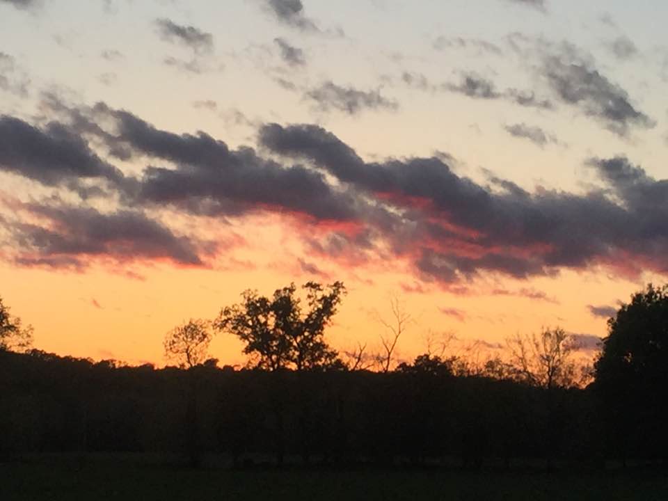 sunset over trees - washington county guide