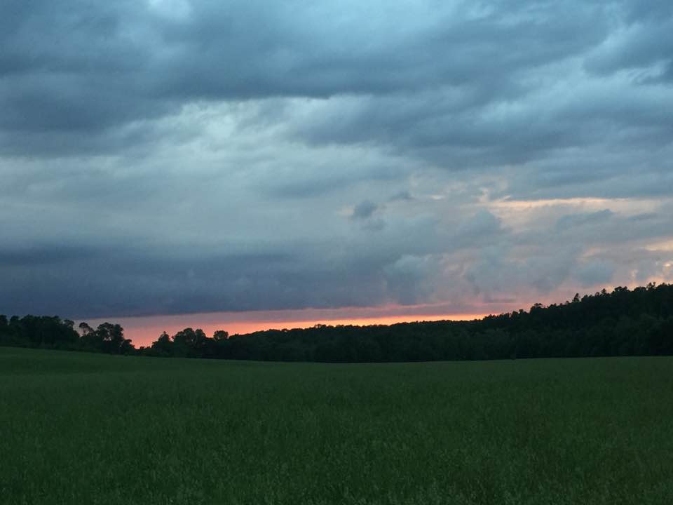 sunset over field - washington county guide
