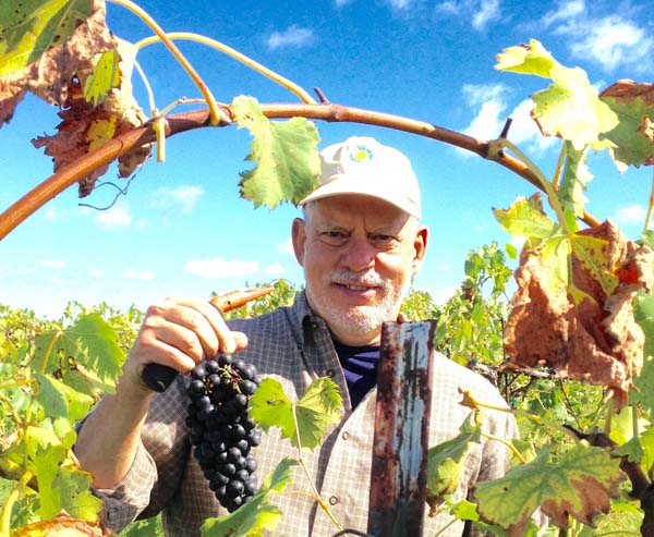 man holding grapevine - washington county guide